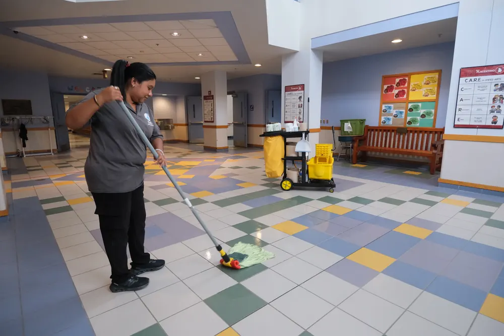 Porter Cleaning